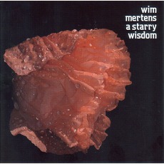A Starry Wisdom mp3 Album by Wim Mertens