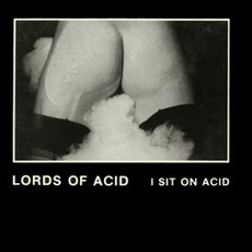 I Sit On Acid mp3 Single by Lords Of Acid