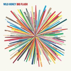 Big Flash mp3 Album by Wild Honey