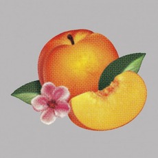 Bankrupt! mp3 Album by Phoenix