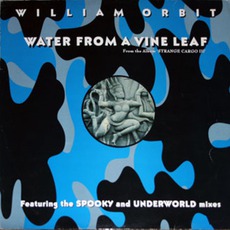 Water From A VIne Leaf mp3 Single by William Orbit