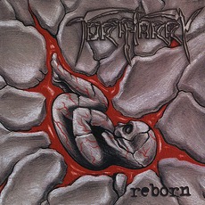 Reborn mp3 Album by Tortharry