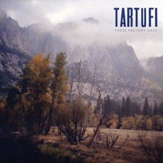 These Factory Days mp3 Album by Tartufi