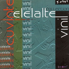Vinil mp3 Artist Compilation by Celelalte Cuvinte