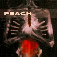 Giving Birth To A Stone (Re-Issue) mp3 Album by Peach