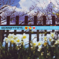 A Different Lifetime mp3 Album by Spearmint