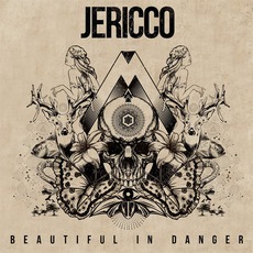 Beautiful In Danger mp3 Album by Jericco