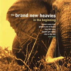 In Tha Beginning mp3 Artist Compilation by The Brand New Heavies