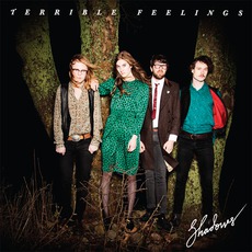 Shadows mp3 Album by Terrible Feelings