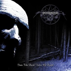 Into The Dark Vales Of Death mp3 Album by Soulgrind
