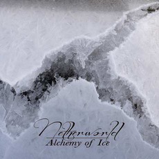 Alchemy Of Ice mp3 Album by Netherworld