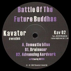 Domestic Bliss / Brainscar mp3 Single by Battle Of The Future Buddhas