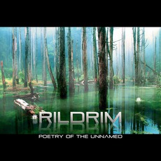 Poetry Of The Unnamed mp3 Album by Rildrim