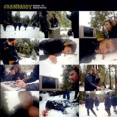 Signal To Snow Ratio mp3 Album by Grandaddy