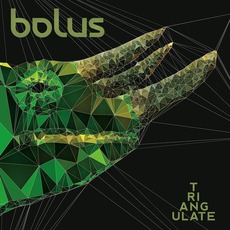 Triangulate mp3 Album by Bolus