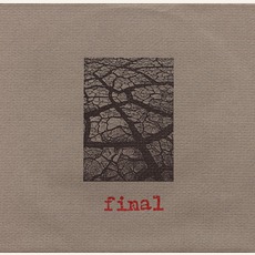 Flow / Openings mp3 Album by Final