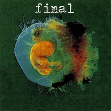 The First Millionth Of A Second mp3 Album by Final