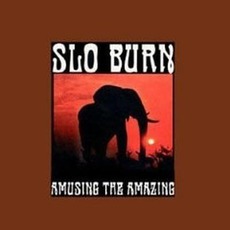 Amusing The Amazing mp3 Album by Slo Burn