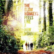 Feels Like A New Morning mp3 Album by The Blow Monkeys