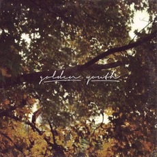 Quiet Frame; Wild Light mp3 Album by Golden Youth