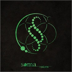 Voices mp3 Album by Soma