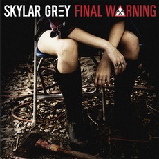 Final Warning mp3 Single by Skylar Grey