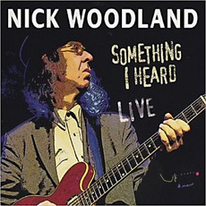 Something I Heard Live mp3 Live by Nick Woodland