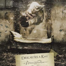 Il VIsore Lunatique mp3 Album by Descartes A Kant