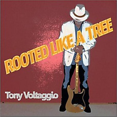 Rooted Like A Tree mp3 Album by Tony Voltaggio