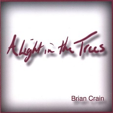 A Light In The Trees mp3 Album by Brian Crain