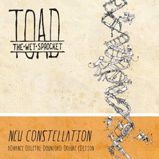 New Constellation mp3 Album by Toad The Wet Sprocket