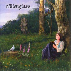 Willowglass mp3 Album by Willowglass