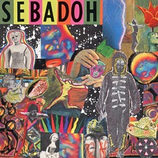 Smash Your Head On The Punk Rock mp3 Album by Sebadoh