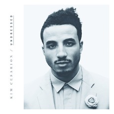 Undressed mp3 Single by Kim Cesarion