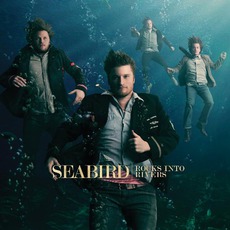 Rocks Into Rivers mp3 Album by Seabird