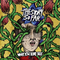What You Don't See mp3 Album by The Story So Far