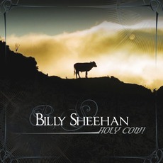 Holy Cow! mp3 Album by Billy Sheehan