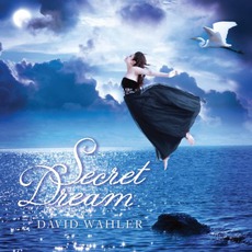 Secret Dream mp3 Album by David Wahler