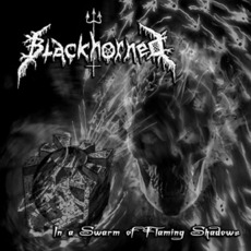 In A Swarm Of Flaming Shadows mp3 Album by Blackhorned