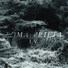I.V. mp3 Album by Loma Prieta
