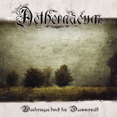 Wanderungen Durch Den Daemmerwald mp3 Album by Aethernaeum
