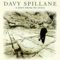 A Place Among The Stones mp3 Album by Davy Spillane