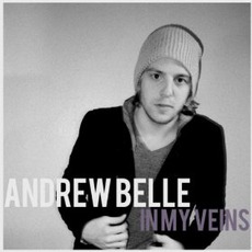 In My Veins mp3 Single by Andrew Belle Feat. Erin McCarley