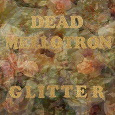 Glitter mp3 Album by Dead Mellotron