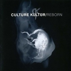 Reborn mp3 Album by Culture Kultür