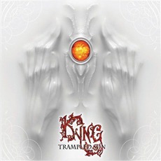 Trampled Sun mp3 Album by Kyng