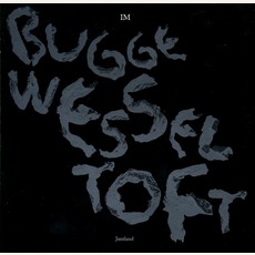 IM mp3 Album by Bugge Wesseltoft