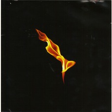 Dark On Fire (Limited Edition) mp3 Album by Turin Brakes