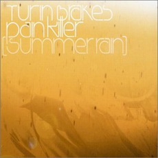 Pain Killer (Summer Rain) mp3 Single by Turin Brakes