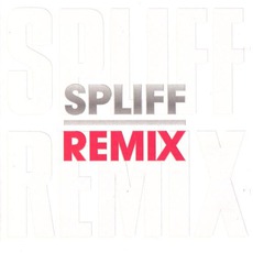 Remix mp3 Remix by Spliff
